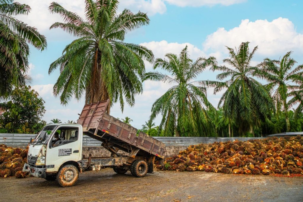 hilirisasi industri sawit