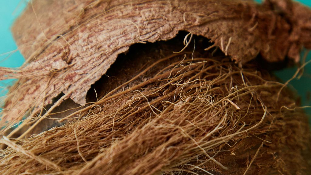 sustainability sabut kelapa