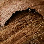 sustainability sabut kelapa