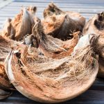 Pemanfaatan Kulit Kelapa