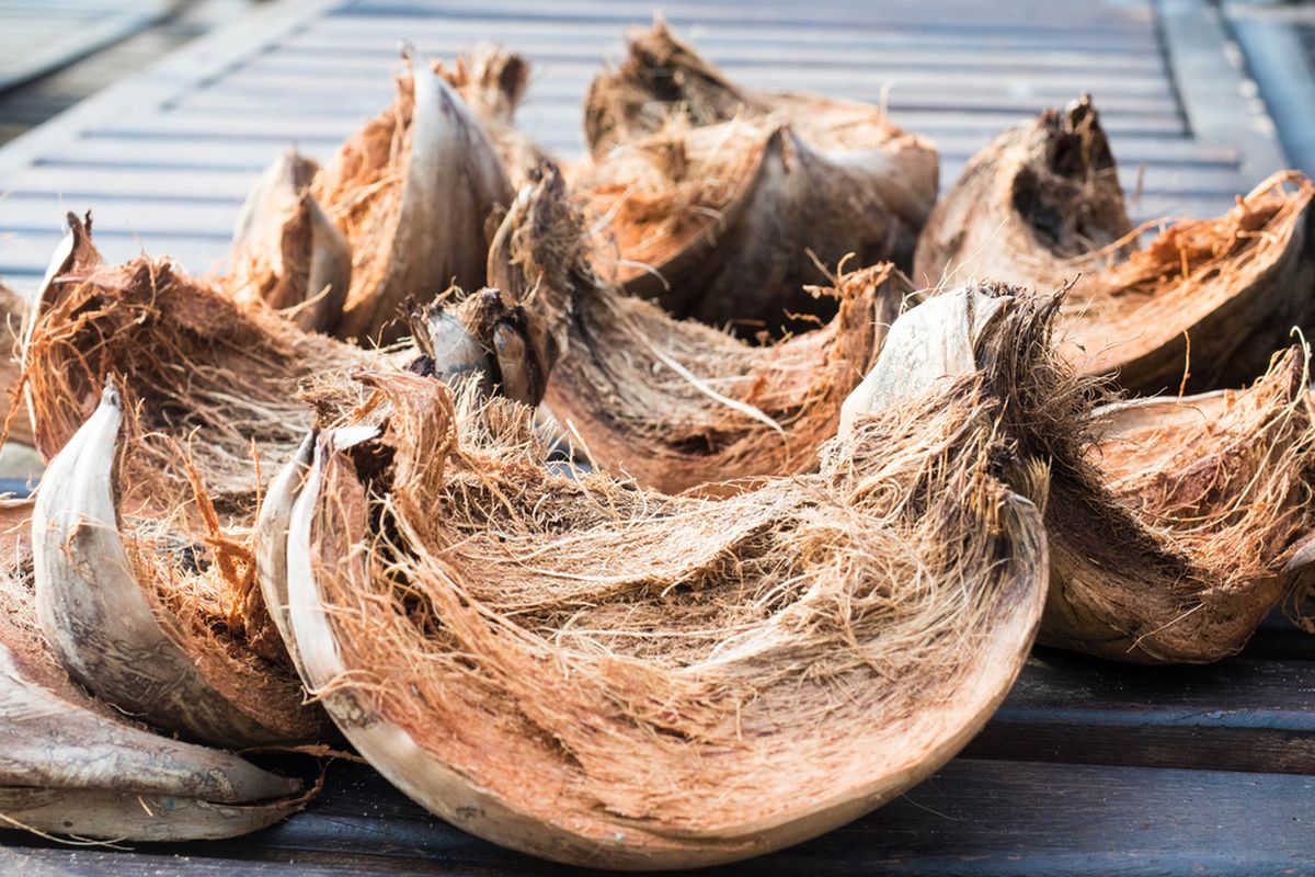Pemanfaatan Kulit Kelapa