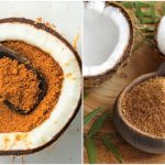 Gula-Kelapa-Organik