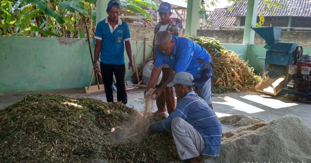 Campuran Pakan Ternak Fermentasi yang Disukai Hewan