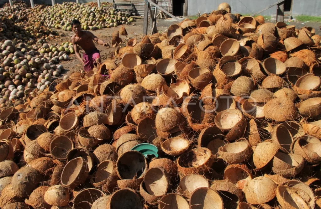 fungsi briket tempurung kelapa sawit