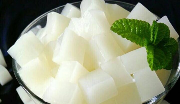 bisnis nata de coco rumahan