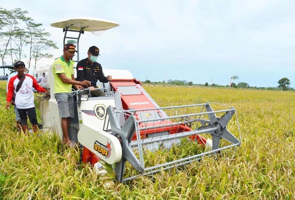 Mesin Panen Padi dan Jagung