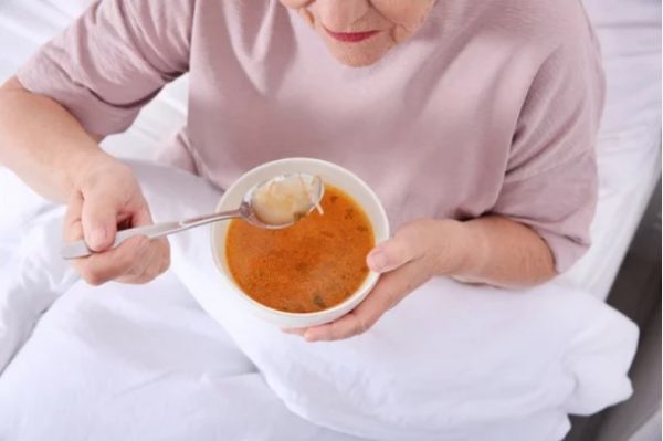 Pengaturan porsi makanan lansia