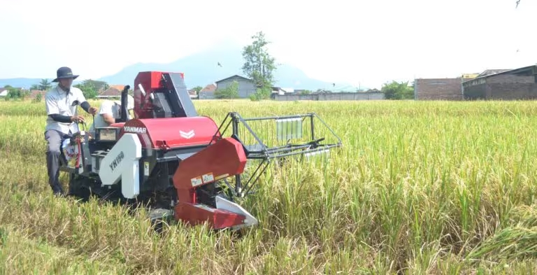 Combine Harvester Untuk Usaha Tani
