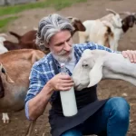 cara meningkatkan kualitas susu kambing