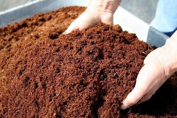 Mesin Press Cocopeat Siap Pakai