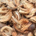 sabut kelapa sebagai bahan peredam gelombang alami