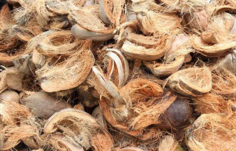 sabut kelapa sebagai bahan peredam gelombang alami