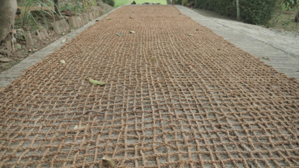 Cocomesh pada Pengembangan Proyek Desa Pintar