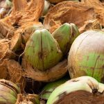 Sabut kelapa sebagai media resapan air efisien