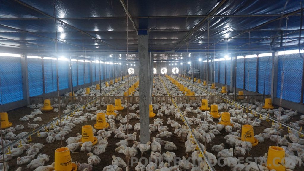 Peningkatan Manajemen Ventilasi di Area Memasak Sejuk