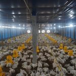 Peningkatan Manajemen Ventilasi di Area Memasak Sejuk