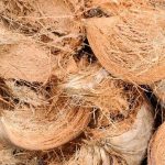Karakteristik Serat Sabut Kelapa Alami