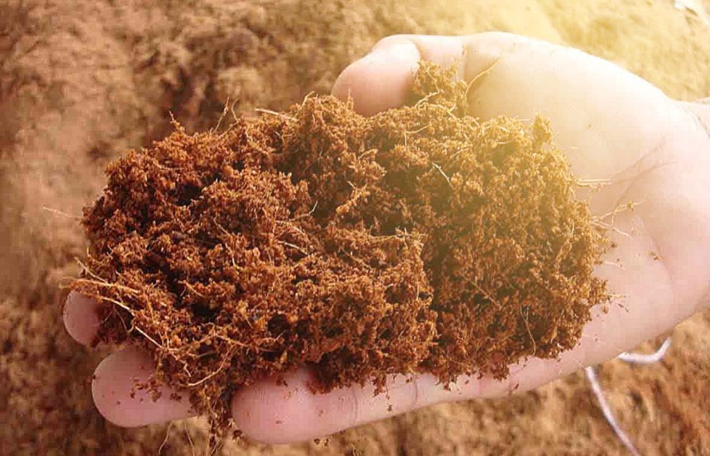 Penggunaan sabut kelapa dalam penyerapan air