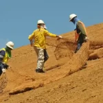 Pengembangan Teknologi Produksi Cocomesh Modern