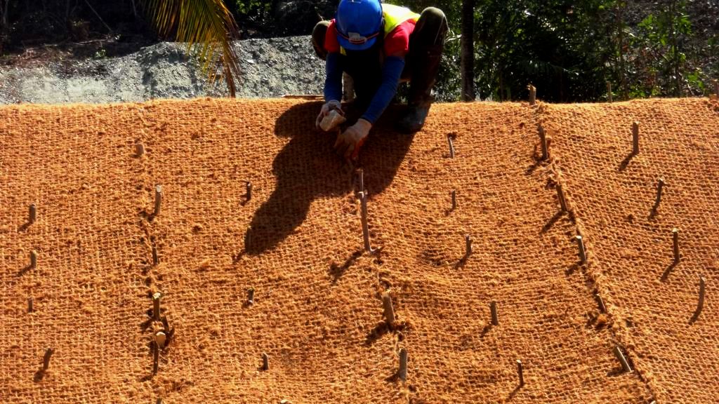 Meningkatkan kesuburan tanah dengan sabut kelapa