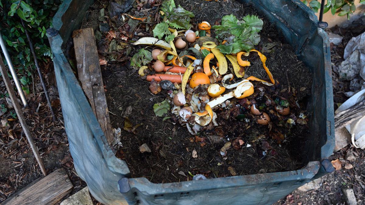 Usaha Kompos Dari Limbah Sampah