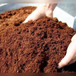 usaha cocofiber dan cocopeat