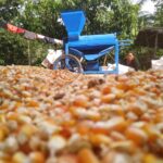 cara memipil jagung dengan cepat