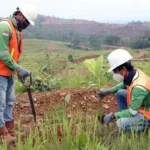 Penataan lahan tambang