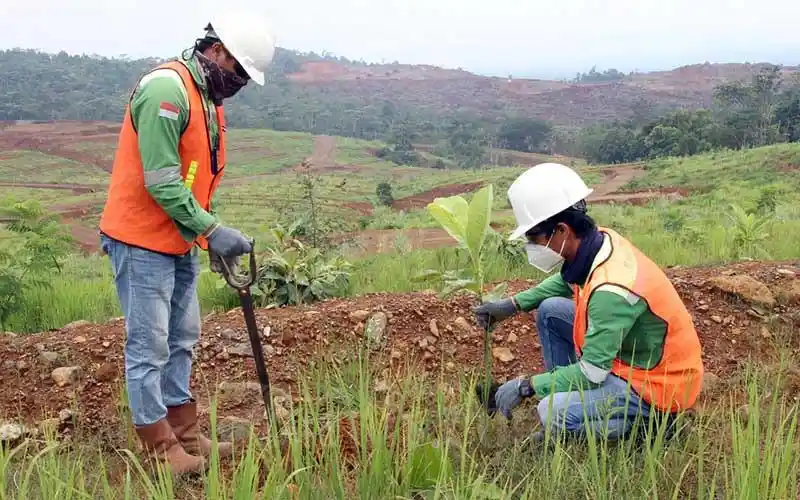 Penataan lahan tambang