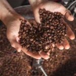 Tips Menjaga Kualitas Biji Kopi Kering agar Tetap Terjaga