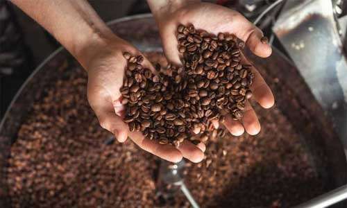Tips Menjaga Kualitas Biji Kopi Kering agar Tetap Terjaga