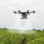 cara kerja drone di sawah