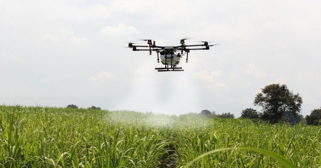 cara kerja drone di sawah