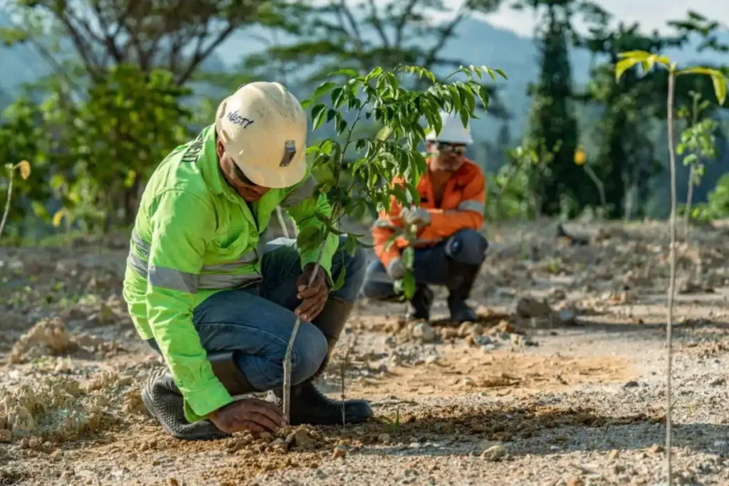 manfaat vegetasi lokal untuk reklamasi