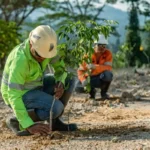 manfaat vegetasi lokal untuk reklamasi