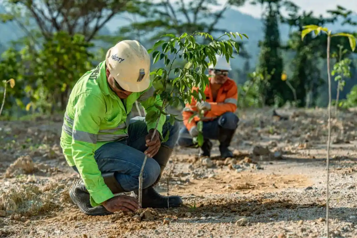 manfaat vegetasi lokal untuk reklamasi