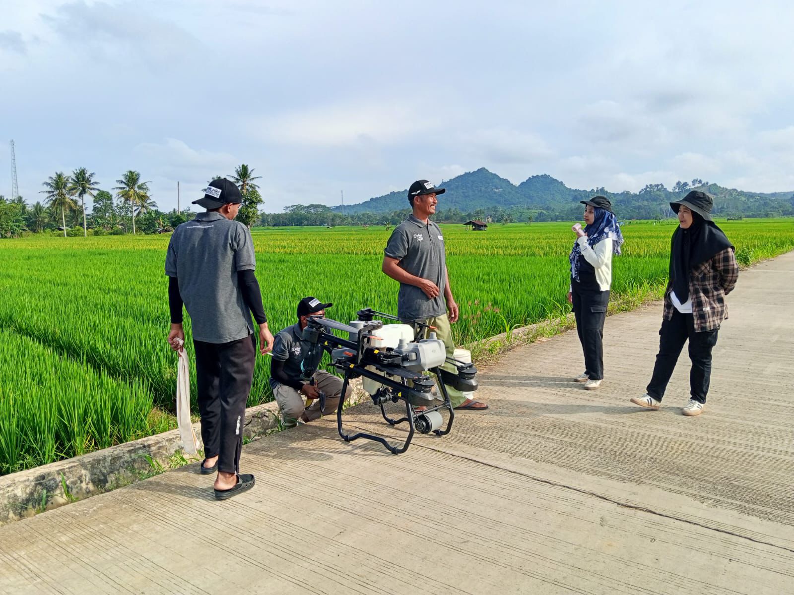 hemat tenaga pakai drone sprayer