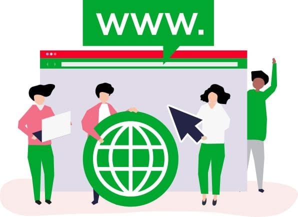 PBN Expired Domain vs Auction Domain