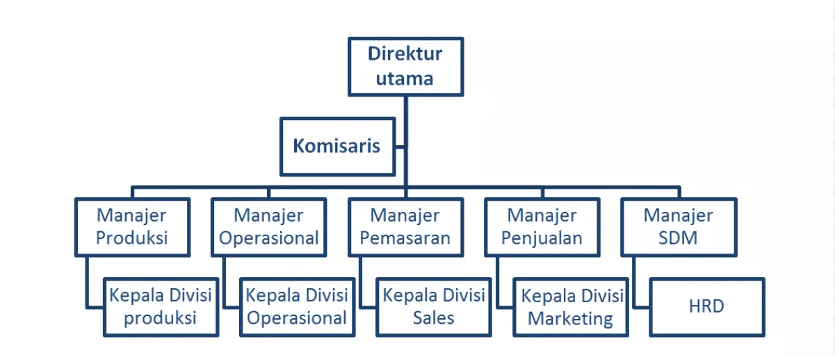 Struktur Divisi Perusahaan