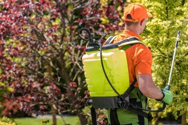 cara membersihkan tangki hand sprayer elektrik