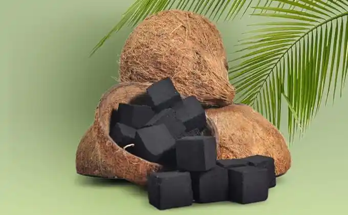 Briket dari Batok Kelapa