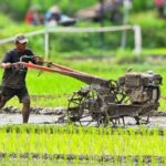 cara mengolah lahan sebelum ditanami