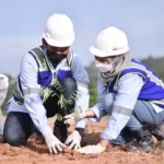 apa yang dimaksud revegetasi