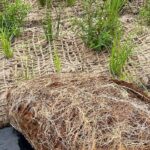 stabilisasi tanah dengan bahan alami