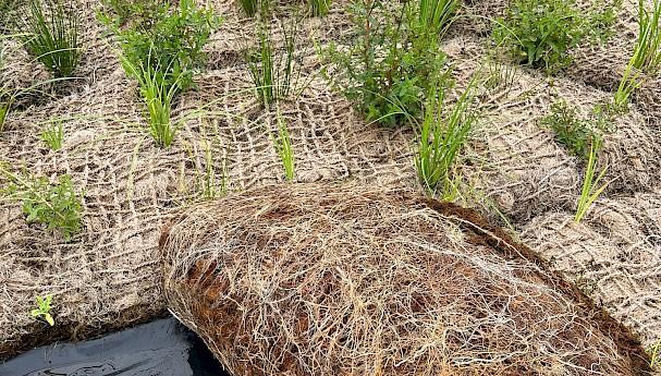 stabilisasi tanah dengan bahan alami
