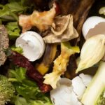cara membuat pupuk dari sisa makanan