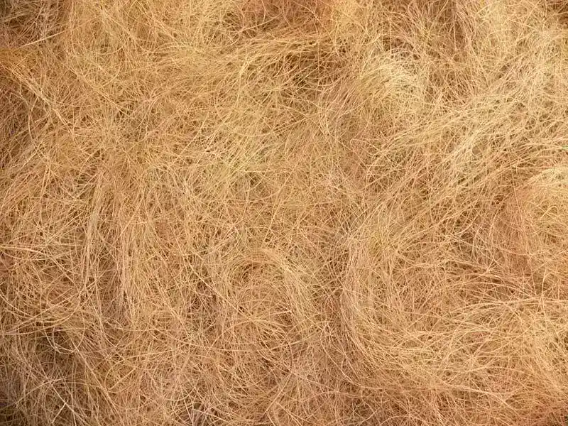 fiber sabut kelapa
