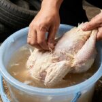 Sanitasi Peralatan Pemotongan Unggas untuk Menjaga Kebersihan