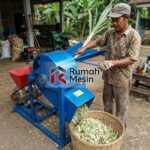 Ukuran Potongan Hijauan untuk Pakan Ternak yang Tepat